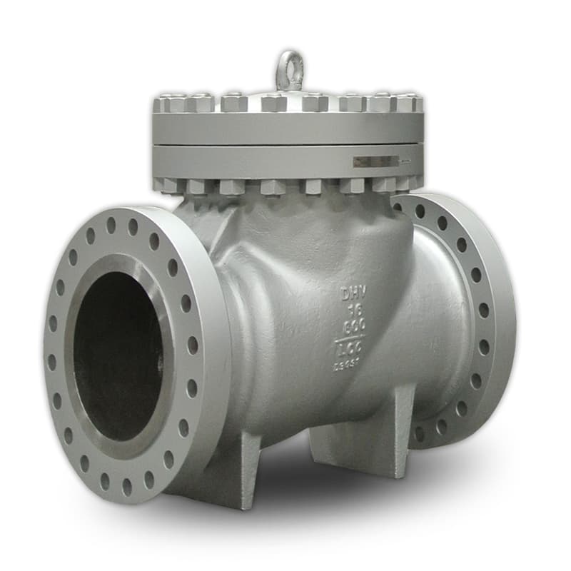 ANSI Check Valve