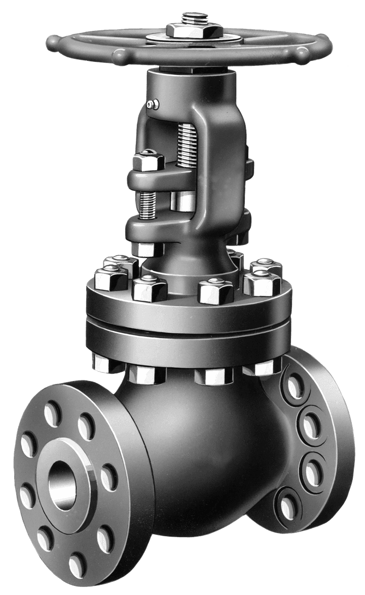 ANSI Globe Valve